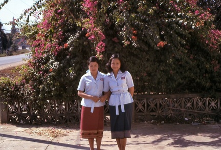 Image33