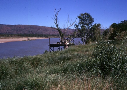 Image2